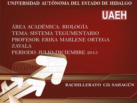 ÁREA ACADÉMICA: BIOLOGÍA TEMA: SISTEMA TEGUMENTARIO PROFESOR: ERIKA MARLENE ORTEGA ZAVALA PERIODO: JULIO-DICIEMBRE 2015.