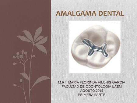AMALGAMA DENTAL M.R.I. MARIA FLORINDA VILCHIS GARCIA
