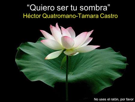 Héctor Quatromano-Tamara Castro