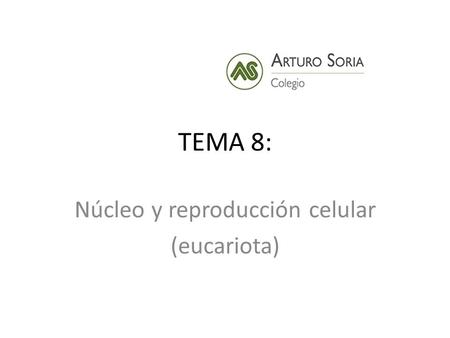 Núcleo y reproducción celular (eucariota)