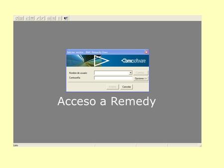 Acceso a Remedy.