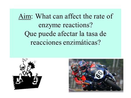 Aim: What can affect the rate of enzyme reactions? Que puede afectar la tasa de reacciones enzimáticas?