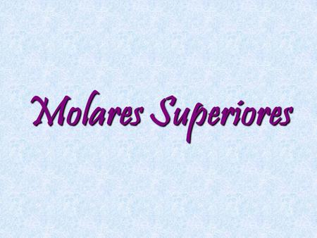Molares Superiores.