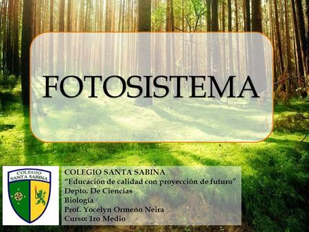 FOTOSISTEMA COLEGIO SANTA SABINA