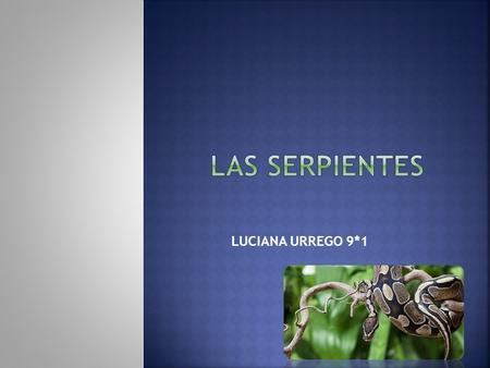 LAS SERPIENTES LUCIANA URREGO 9*1.