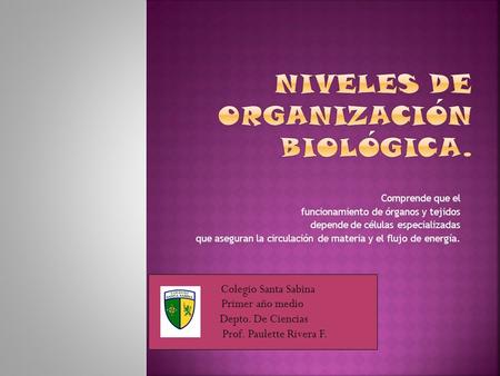 Niveles de organización biológica.