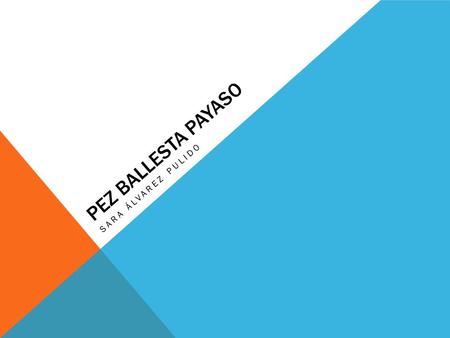 Pez ballesta payaso Sara Álvarez pulido.