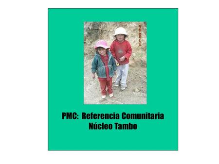 PMC: Referencia Comunitaria Núcleo Tambo. 1.Responsable: José Huapaya Ames 2. Integrantes: Núcleo Tambo: : Bernardina Antezana, Marleny Quispe, Ivette.