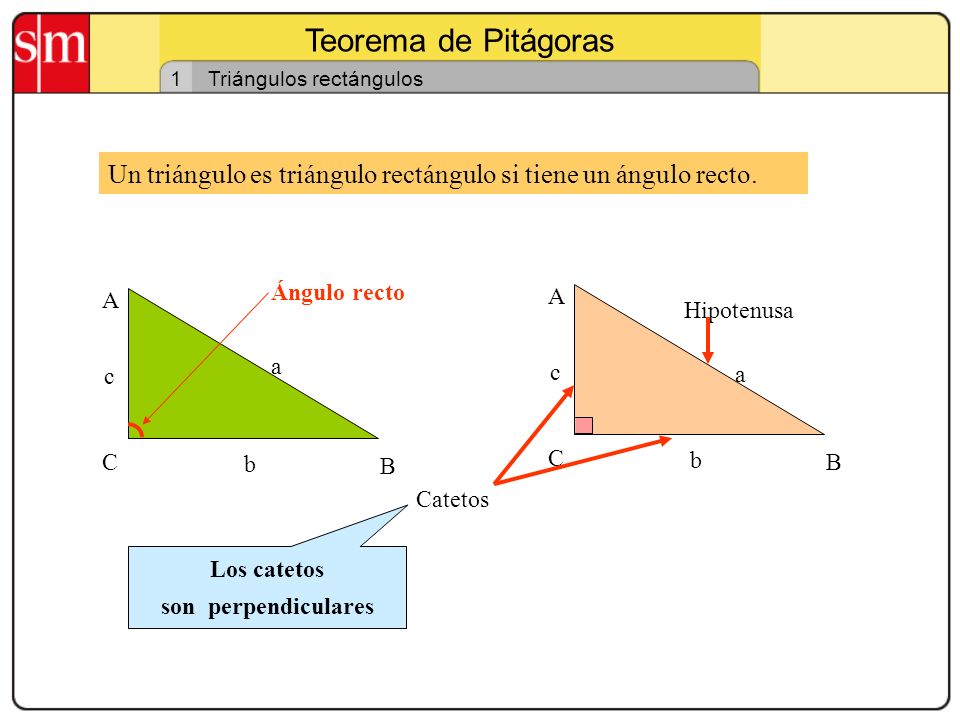 Teorema de Pitágoras 1 Triángulos rectángulos - ppt video online descargar