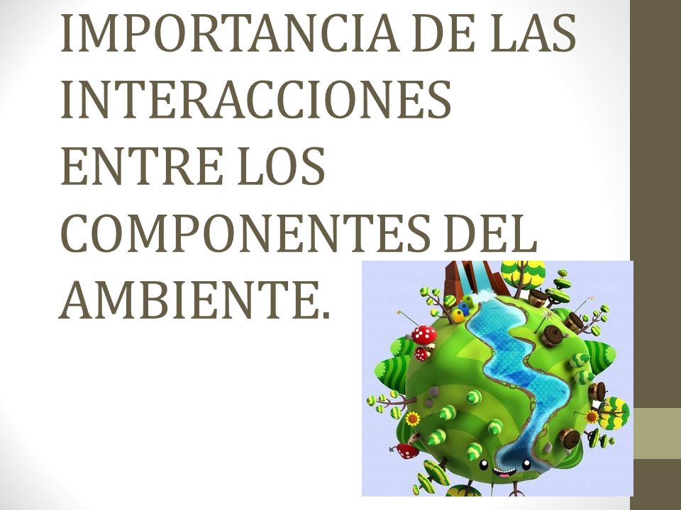 IMPORTANCIA DE LAS INTERACCIONES ENTRE LOS COMPONENTES DEL AMBIENTE. - ppt  video online descargar
