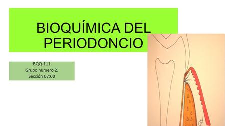 BIOQUÍMICA DEL PERIODONCIO