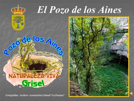 El Pozo de los Aines Fotografías: Archivo Asociación Cultural “La Diezma”