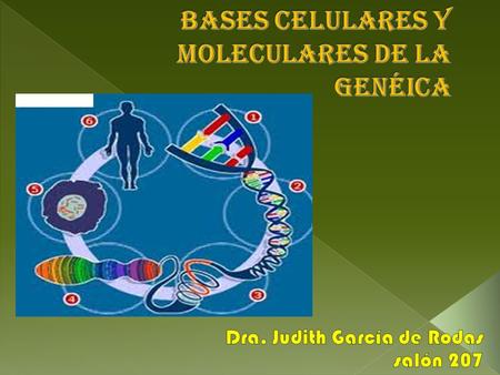 Bases celulares y moleculares de la genéica