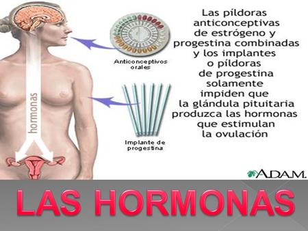  Las hormonas son los productos químicos de la acción del sistema endocrino, y constituyen importantes mensajeros químicos que son producidos por una.
