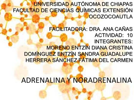 ADRENALINA Y NORADRENALINA UNIVERSIDAD AUTÓNOMA DE CHIAPAS FACULTAD DE CIENCIAS QUÍMICAS EXTENSIÓN OCOZOCOAUTLA FACILITADORA: DRA. ANA CAÑAS ACTIVIDAD: