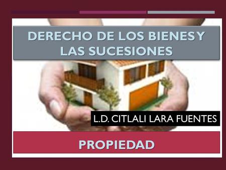 Derecho de los bienes y las sucesiones