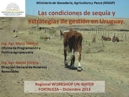Regional WORKSHOP UN-WATER FORTALEZA – Diciembre 2013 Ing. Agr. María Methol Oficina de Programación y Política Agropecuaria Ministerio de Ganadería, Agricultura.