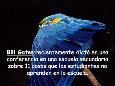 Bill Gates recientemente dictó en una conferencia en una escuela secundaria sobre 11 cosas que los estudiantes no aprenden en la escuela.