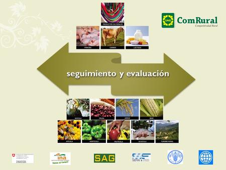 Seguimiento y evaluación. SIG Constituye el instrumento base para el seguimiento técnico del proyecto. Información actualizada de la ejecución del proyecto.