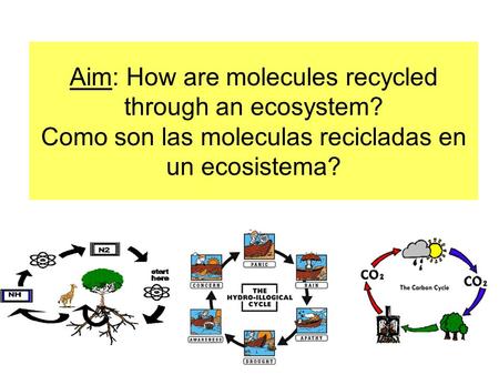 Aim: How are molecules recycled through an ecosystem? Como son las moleculas recicladas en un ecosistema?