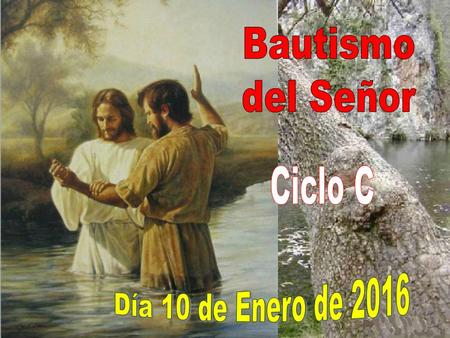 Bautismo del Señor Ciclo C Día 10 de Enero de 2016.