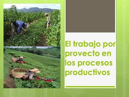 El trabajo por provecto en los procesos productivos.