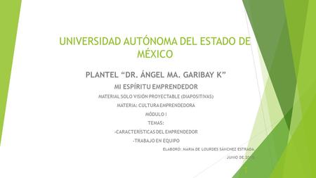 UNIVERSIDAD AUTÓNOMA DEL ESTADO DE MÉXICO