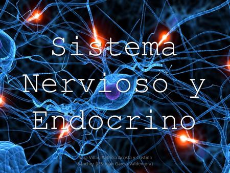 Sistema Nervioso y Endocrino Sara Villar, Patricia Acosta y Cristina Sánchez (IES Juan Garcia Valdemora)