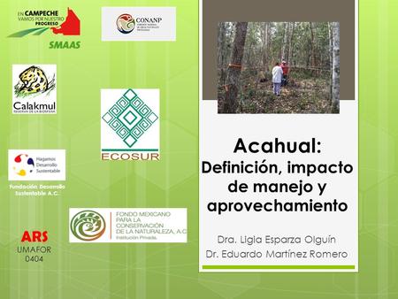 Acahual: Definición, impacto de manejo y aprovechamiento Dra. Ligia Esparza Olguín Dr. Eduardo Martínez Romero Fundación Desarrollo Sustentable A.C. ARS.