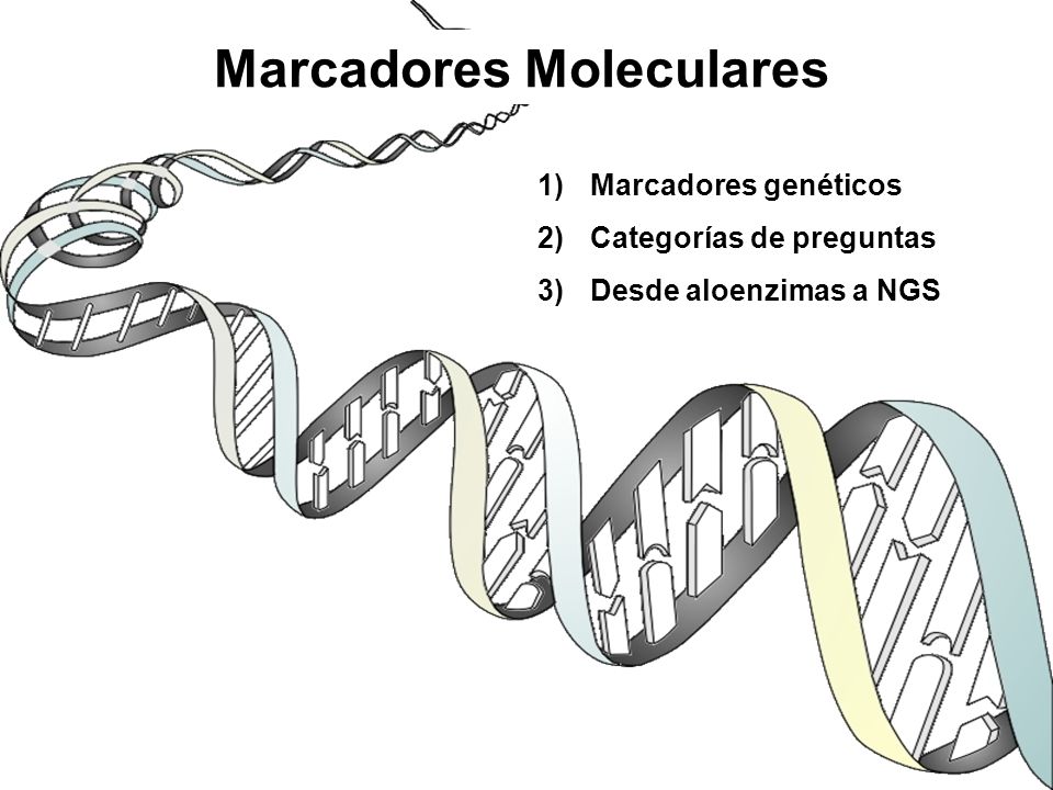 Marcadores Moleculares - ppt descargar