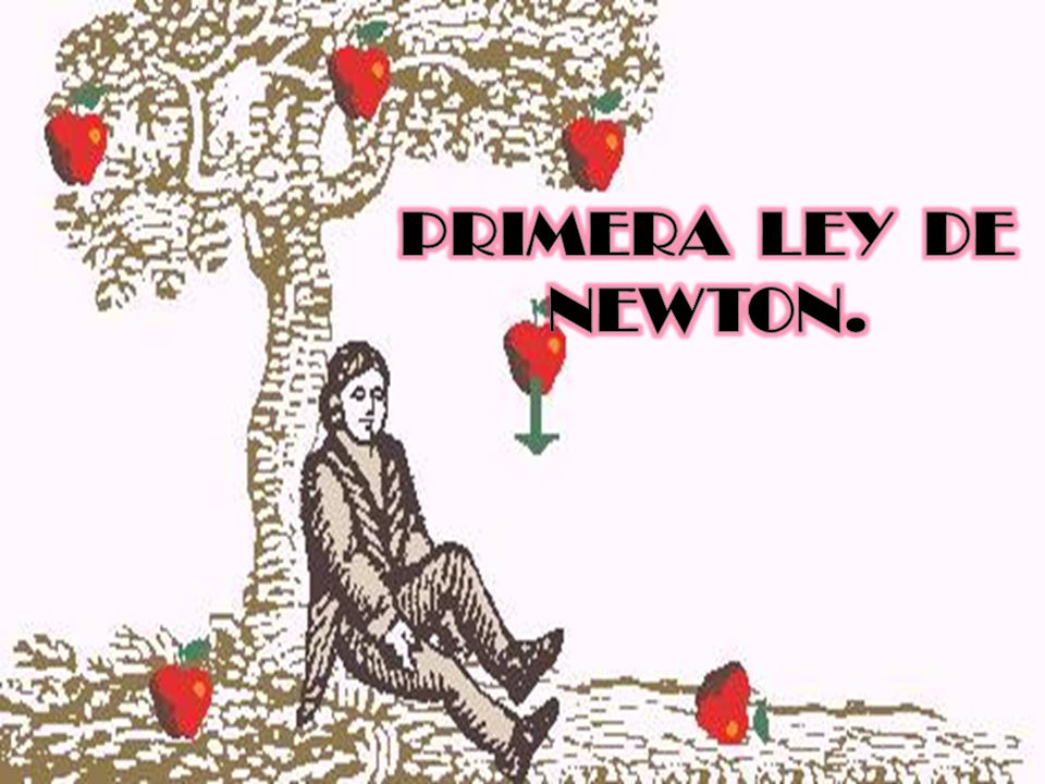 PRIMERA LEY DE NEWTON.. - ppt video online descargar