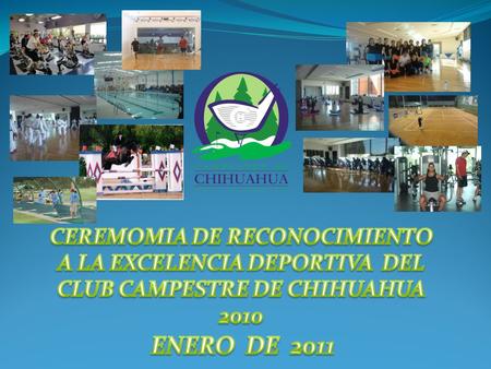 Se le entrega este reconocimiento por ser el mejor alumno gracias a su gran desempeño, su excelente puntualidad, su constancia en la asistencia diaria.