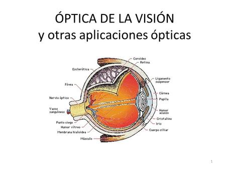 ÓPTICA DE LA VISIÓN y otras aplicaciones ópticas