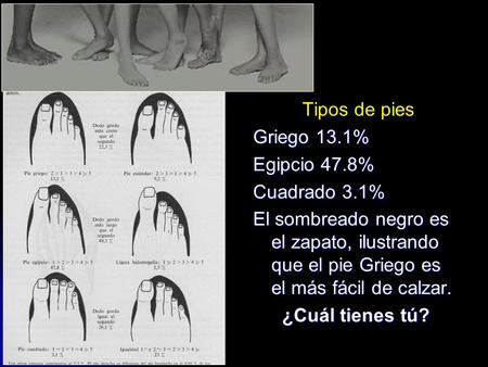 Tipos de pies Griego 13.1% Egipcio 47.8% Cuadrado 3.1%