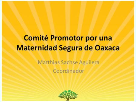 Comité Promotor por una Maternidad Segura de Oaxaca