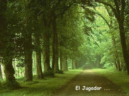 El Jugador ....