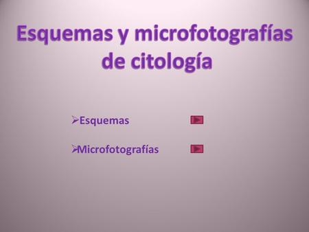 Esquemas y microfotografías