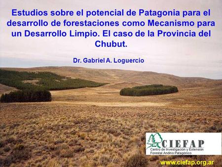 Estudios sobre el potencial de Patagonia para el desarrollo de forestaciones como Mecanismo para un Desarrollo Limpio. El caso de la Provincia del Chubut.