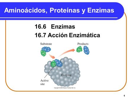 Aminoácidos, Proteínas y Enzimas