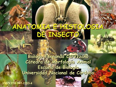 ANATOMIA E HISTOLOGIA DE INSECTO