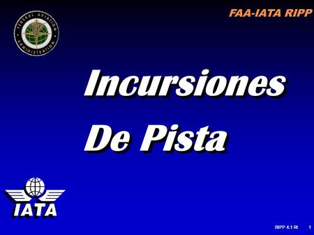 Incursiones De Pista RIPP 4.1 RI.