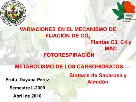 VARIACIONES EN EL MECANISMO DE FIJACIÓN DE CO2