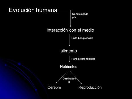 Evolución humana Interacción con el medio alimento Nutrientes Cerebro