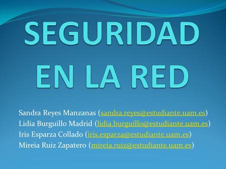 SEGURIDAD EN LA RED Sandra Reyes Manzanas Lidia Burguillo Madrid