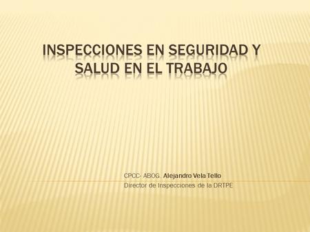 INSPECCIONES EN SEGURIDAD Y SALUD EN EL TRABAJO