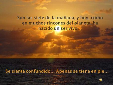Son las siete de la mañana, y hoy, como en muchos rincones del planeta, ha nacido un ser vivo… Se siente confundido… Apenas se tiene en pie…