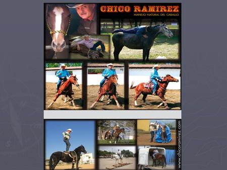 EL SEÑOR DE LOS CABALLOS CURSO MANEJO NATURAL DEL CABALLO CHILE, 2010 Entre el 31 de Octubre de 2010 y el 7 de Noviembre del mismo año, nos visitará Marcelino.