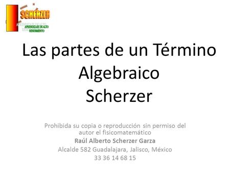 Las partes de un Término Algebraico Scherzer
