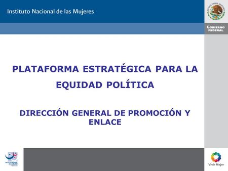 PLATAFORMA ESTRATÉGICA PARA LA EQUIDAD POLÍTICA DIRECCIÓN GENERAL DE PROMOCIÓN Y ENLACE.