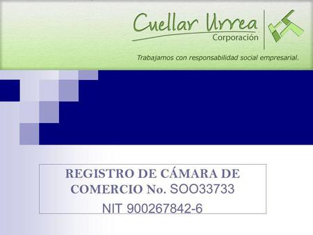REGISTRO DE CÁMARA DE COMERCIO No. SOO33733 NIT 900267842-6.
